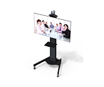 Custom Universal Stand for Video Conferencing & Displays